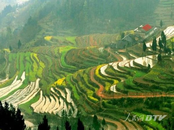 河南女娲伏羲,女娲和伏羲的遗址