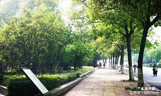 最美的5个赏桂好去处,不错过金秋赏桂好时节