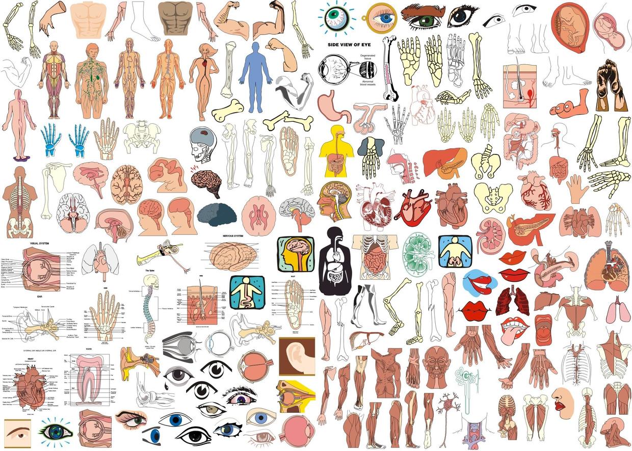 看看手术视频，震动一把自己