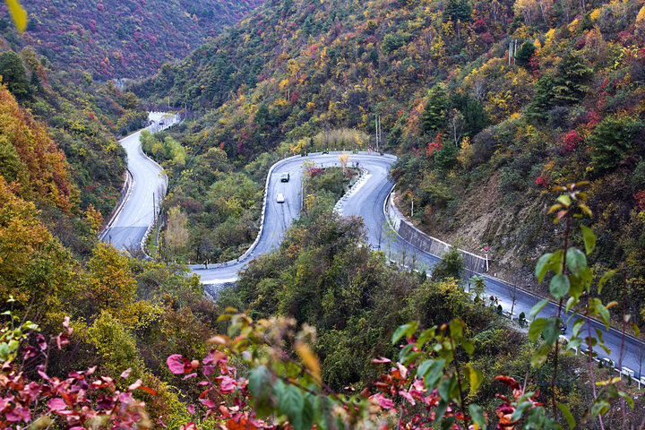 宝鸡经济强县排名,宝鸡十强村排名