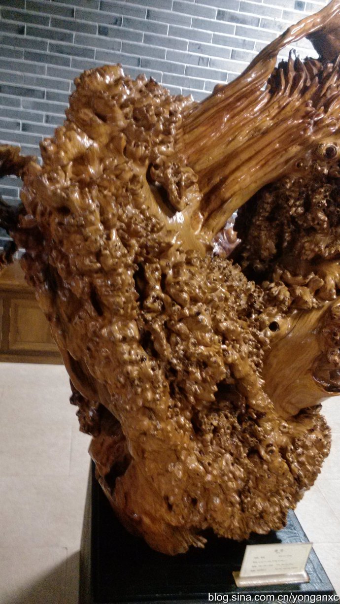 开化根宫佛国免费游玩,衢州开化佛国视频