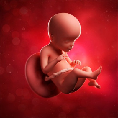 23周胎儿图片,怀孕23周出血