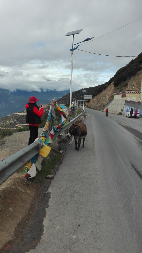 神奇神秘神圣的香格里拉,神秘的香格里拉大结局