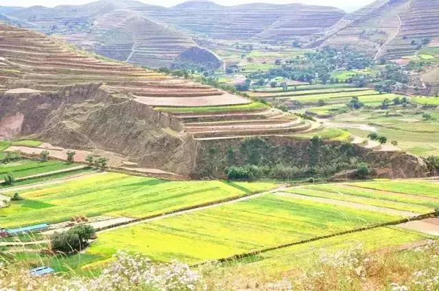 山沟沟里的风景最美,西北山沟沟景区