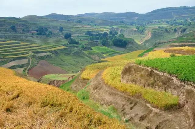 山沟沟里的风景最美,西北山沟沟景区