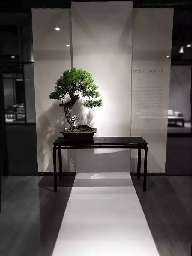 新中式产品有哪些,究竟什么样的产品才算是好产品