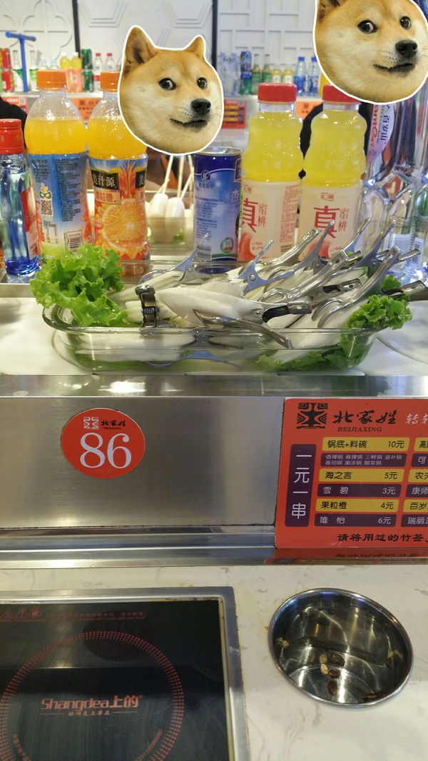 去西安跟旅行团靠谱不,西安出发去敦煌五日游攻略