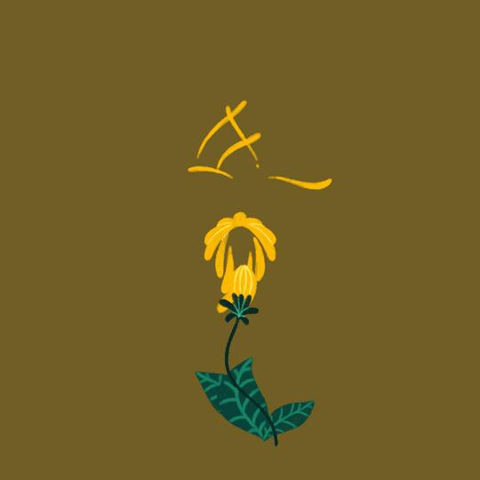 去日本买一个马桶盖,还有卖日本马桶盖的吗