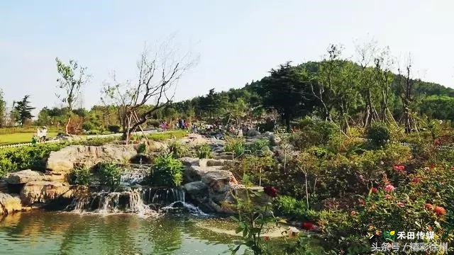 最美的5个赏桂好去处,不错过金秋赏桂好时节