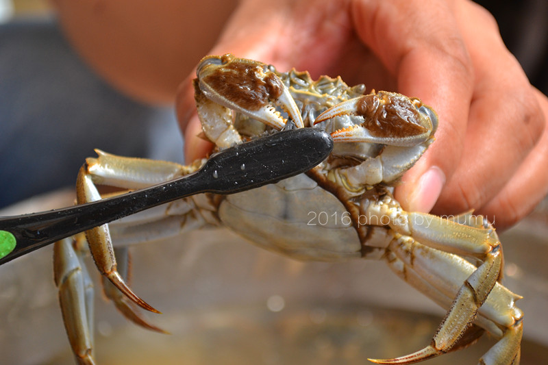 螃蟹要怎么清洗才干净,螃蟹如何清洗干净又好吃
