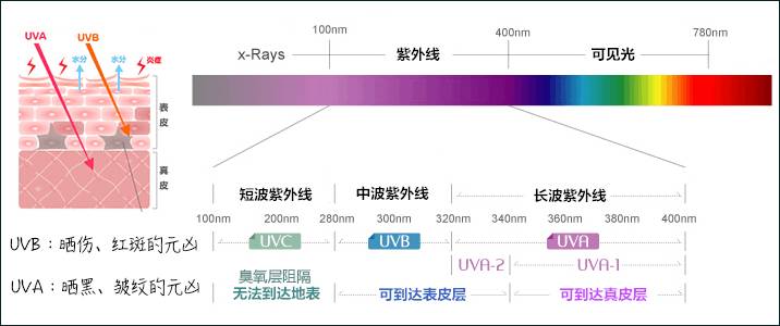 科普防晒视频,防晒膜科普