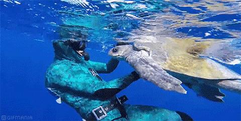 伯利兹旅游视频,伯利兹攻略