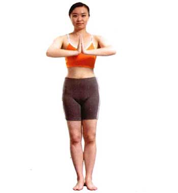 菩提叶式瑜伽锻炼女性双腿肌肉