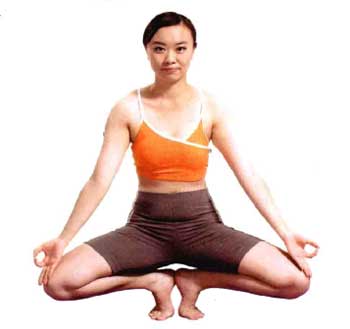 菩提叶式瑜伽锻炼女性双腿肌肉