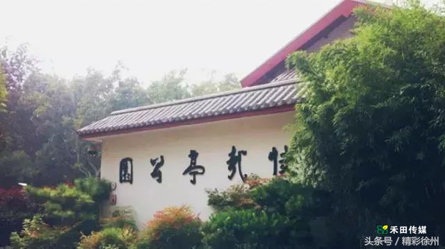 最美的5个赏桂好去处,不错过金秋赏桂好时节