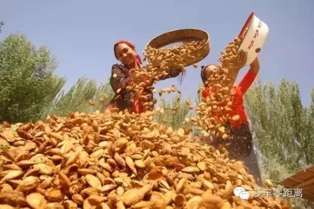 莎车古城老街简介,莎车老城墙遗址值得看吗