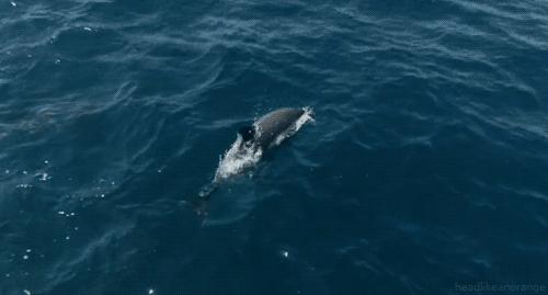 伯利兹旅游视频,伯利兹攻略