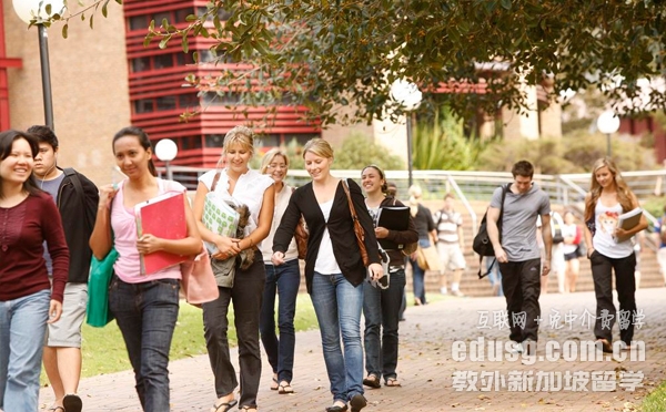 新加坡楷博会计大专课程