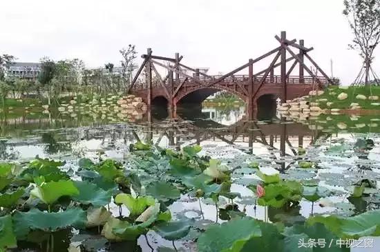 湖北洪湖小众旅游景点推荐,洪湖周末游玩好去处