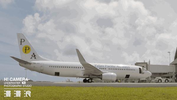 怎么去帕劳旅游,帕劳攻略