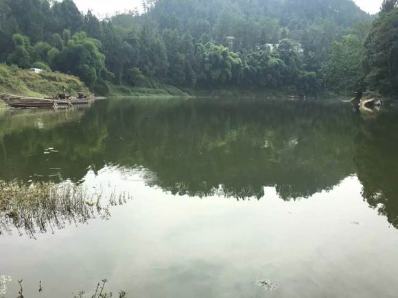 为什么野钓更舒服,为什么野钓要钓底