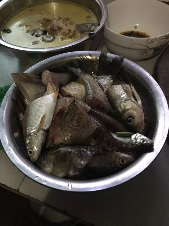 为什么野钓更舒服,为什么野钓要钓底