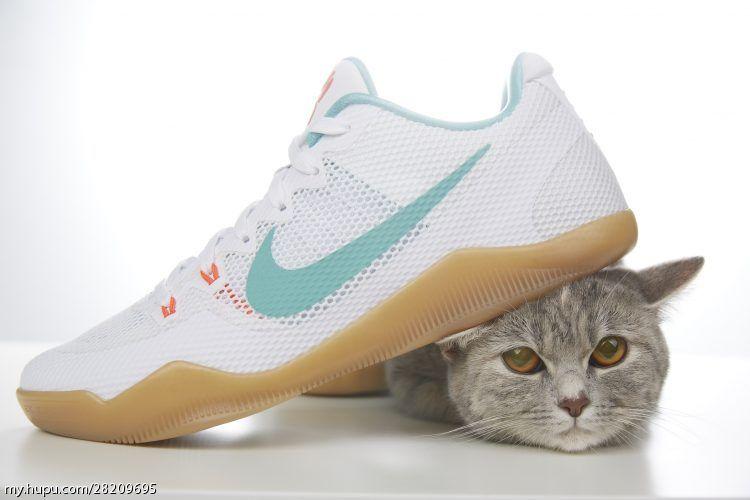 涓庣尗鍏辫垶,涓庣尗鍏辫垶绯诲垪