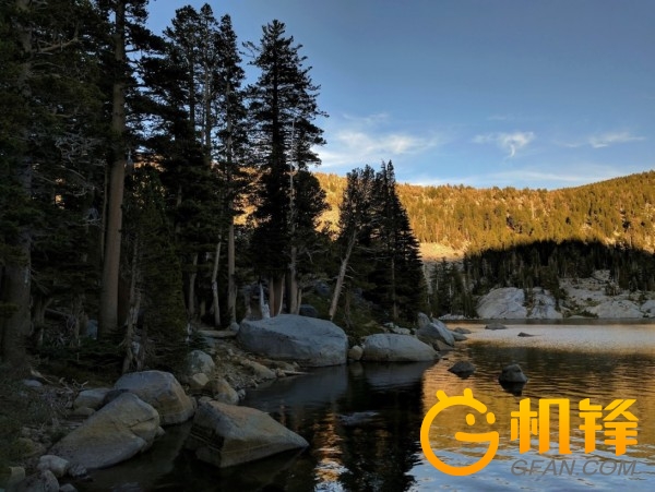 顶级相机拍摄照片的细腻程度,顶级相机变焦清晰度