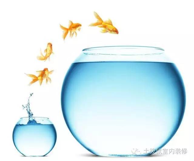 家里招财摆件风水讲求,招财风水摆件摆在哪个位置