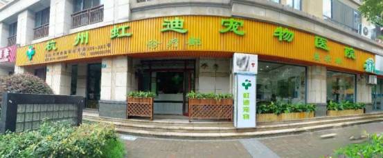 铲屎官宠物医院,铲屎官的宠物用品大仓库