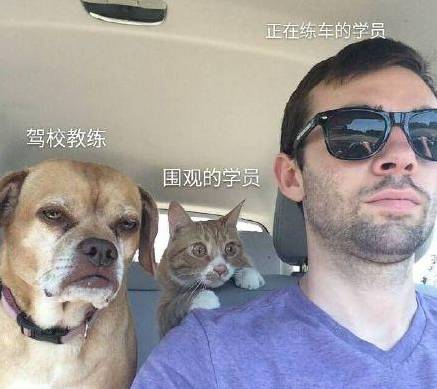 能打差评，还能拒付费，在杭州可以这样学车？！