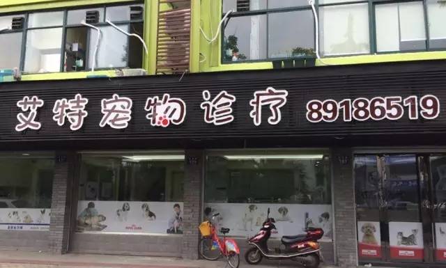 铲屎官宠物医院,铲屎官的宠物用品大仓库