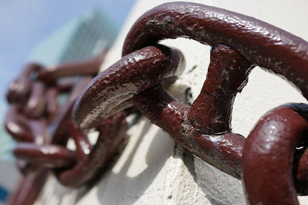 索尼rx1r2可以拍什么,rx1画质