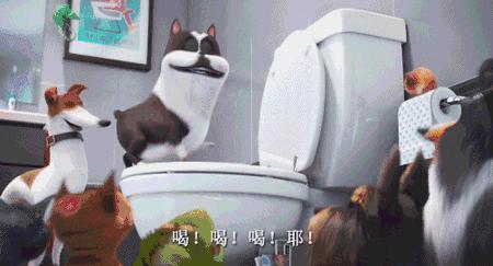 铲屎官宠物医院,铲屎官的宠物用品大仓库