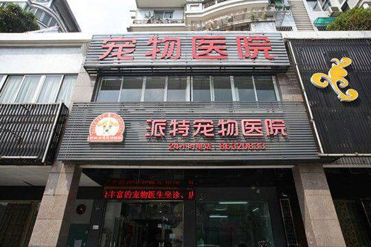 铲屎官宠物医院,铲屎官的宠物用品大仓库