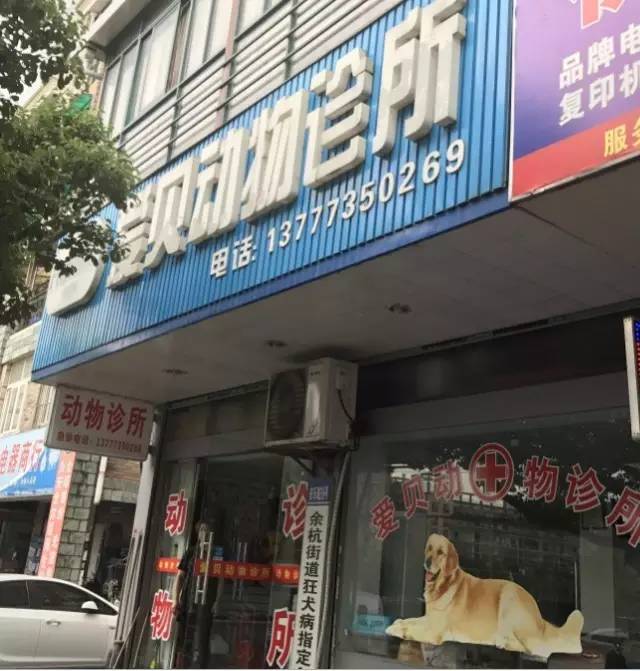 铲屎官宠物医院,铲屎官的宠物用品大仓库