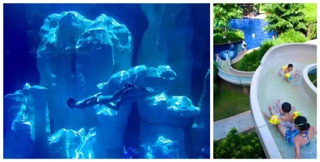 三亚亚龙湾海景酒店第一名,红树林亚龙湾酒店亲子酒店