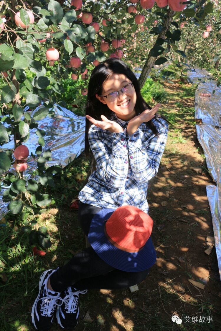 艾维wwoofer之：一路前行，一路感动