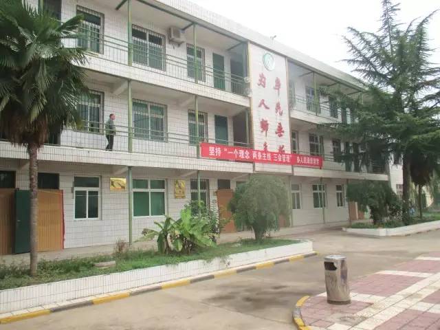 国际港务区有什么好的公办初中吗,国际港务区哪个小学最好