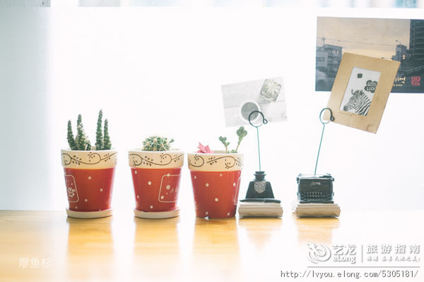 韩国济州岛美女视频照片,韩国济州岛美容机构