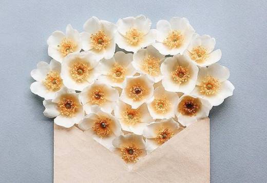 教资面试必背的十大热门,教资面试试讲的各类模板