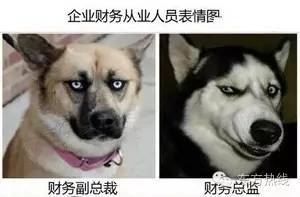 宁波市2023年各行业平均工资,宁波哪个区的薪资待遇最好