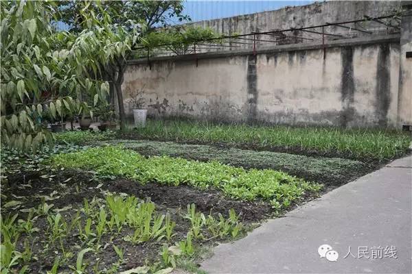 WORD天，这家“红二代”的生活竟然是这样的