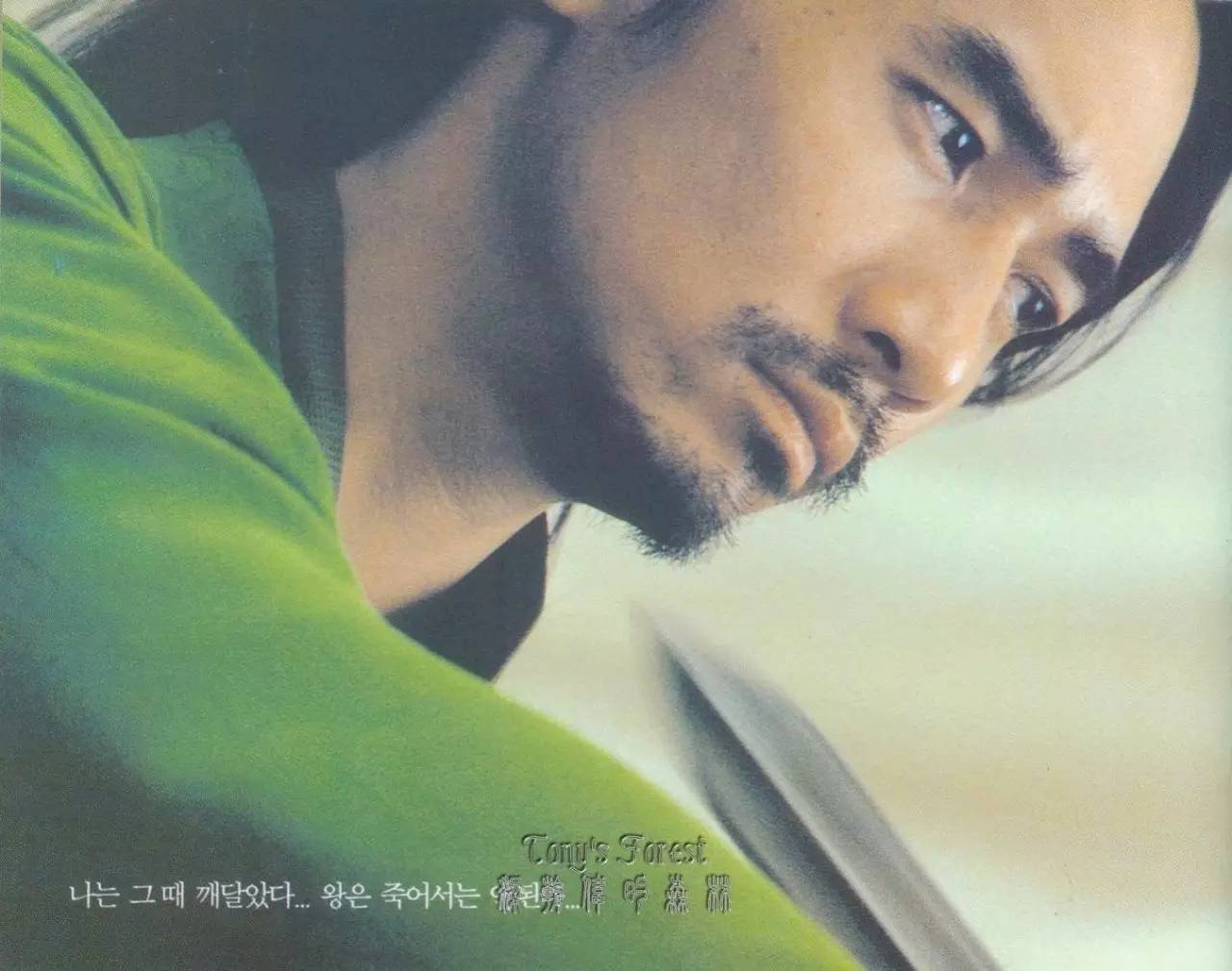 梁朝伟刘德华cp,梁朝伟金城武合集