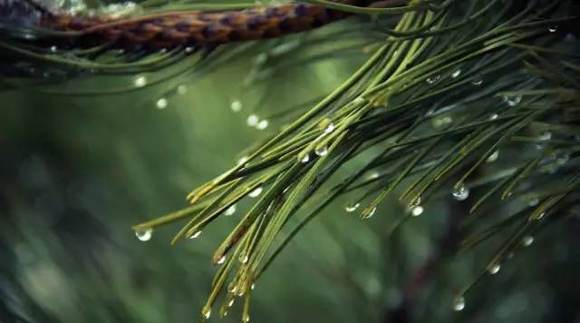 50岁的我也想活出自己的精彩,希望60岁的时候还能像40岁的样子