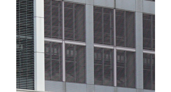 索尼rx1r2可以拍什么,rx1画质