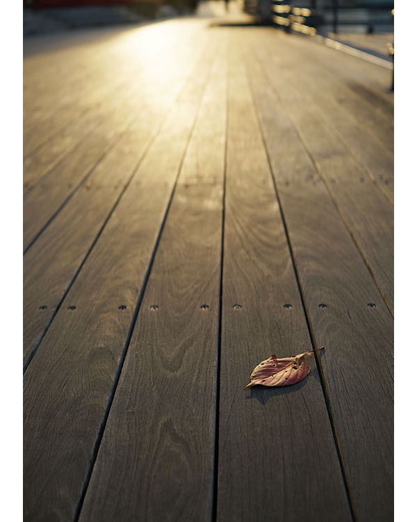 索尼rx1r2可以拍什么,rx1画质