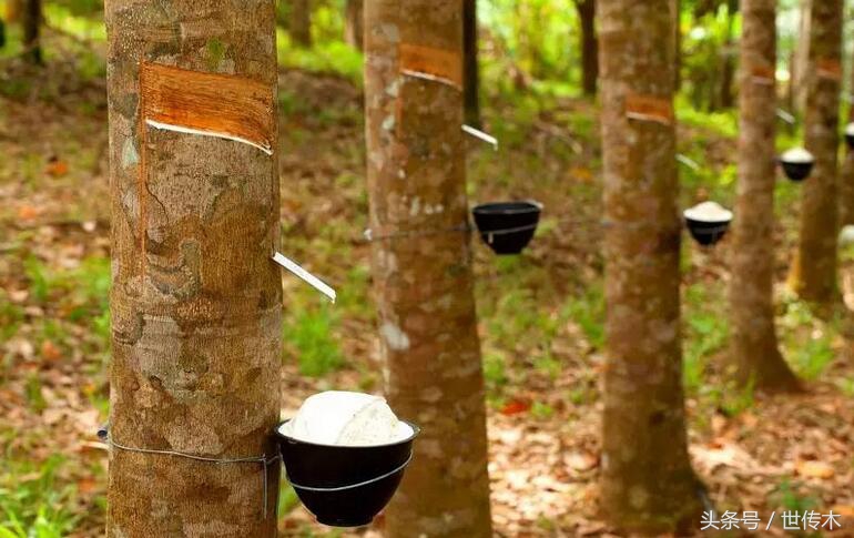 橡胶木是实木家具好不好,橡胶木家具真的有毒吗