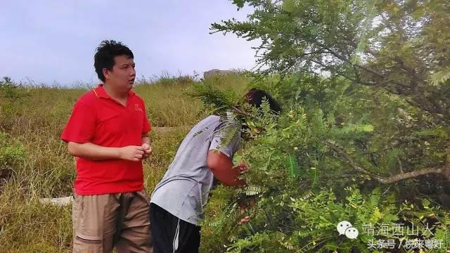 揭阳市惠来县靖海镇西山村大劲山，你还是让我怀念