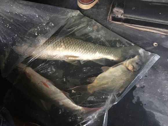 为什么野钓更舒服,为什么野钓要钓底